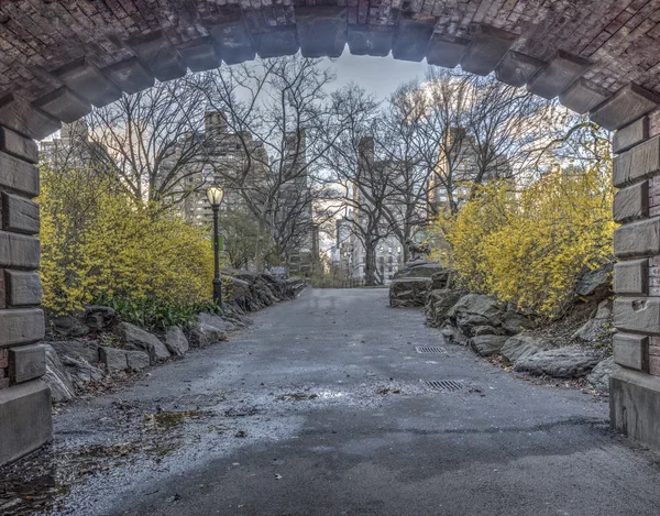 Willowdell Arch ve tünel — Stok fotoğraf