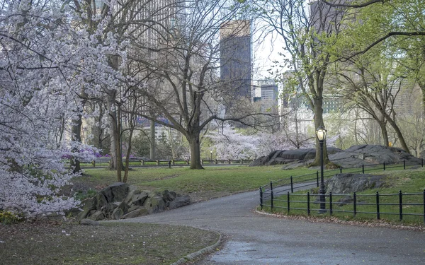 Central Park, primavera a New York — Foto Stock