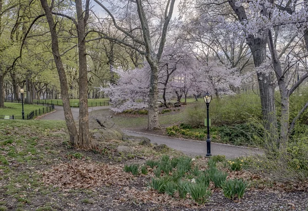 Central Park, New York City — Stock fotografie