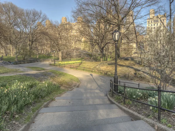 Central Park, Nova Iorque — Fotografia de Stock