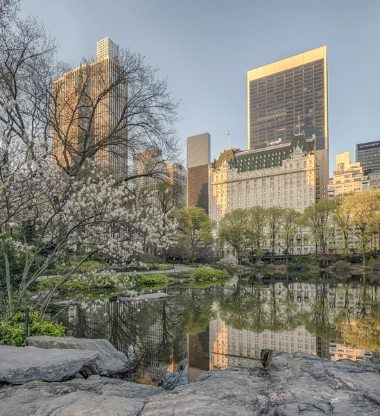 Central Park, New York City — Stock fotografie