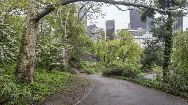 Central Park, New York City — Stock Photo, Image