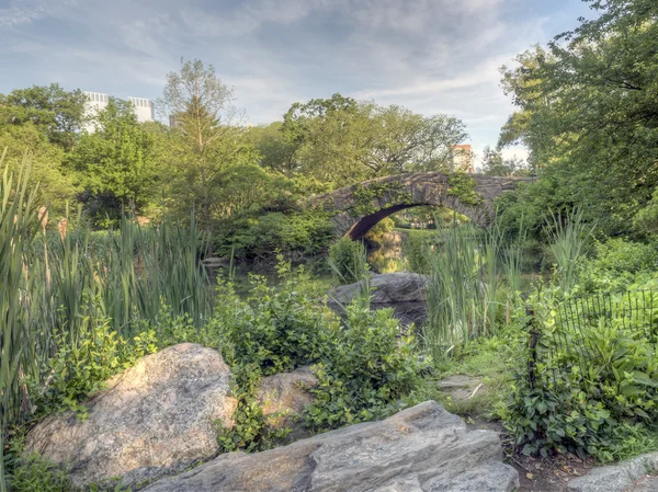 Gapstow bridge, Central Park, New York City — Stock Fotó