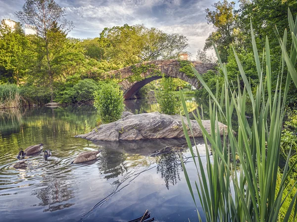 Gapstow Bridge Central Park, New York City — Stockfoto