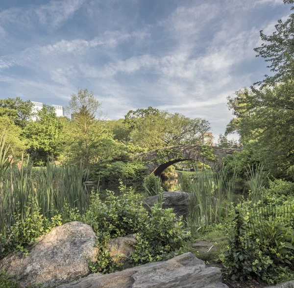 Pont Gapstow Central Park, New York — Photo