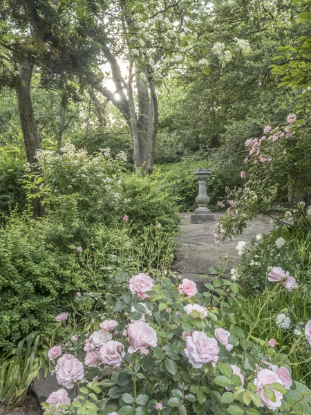 Shakespeare ogród central park, new york city — Zdjęcie stockowe