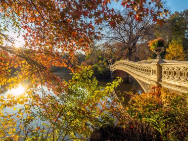 Pruva köprüsü, Central Park, New York Sonbaharda