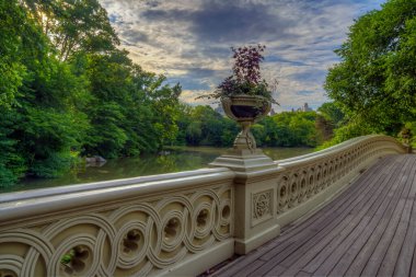 Bow Köprüsü, Central Park, New York Yazın