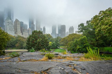 Central Park, New York Sonbaharda sisli bir sabahta