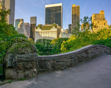 Central Park 'taki Gapstow Köprüsü sabah erkenden çiçeklerle