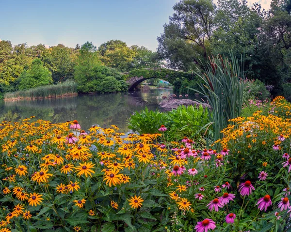 Gapstow Bridge Central Park Våren Tidigt Morgonen Med Blommor — Stockfoto
