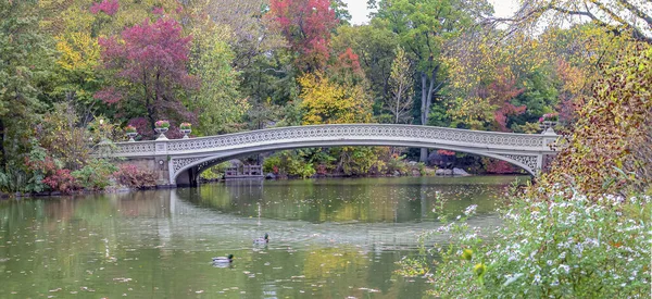 Bow Bridge Central Park New York City Autumn Stock Image