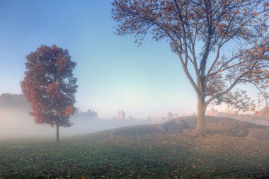 Central Park, New York sonbaharda sabahın erken saatlerinde sis vardı.