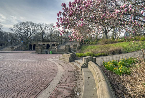 纽约中央公园的春天 — 图库照片