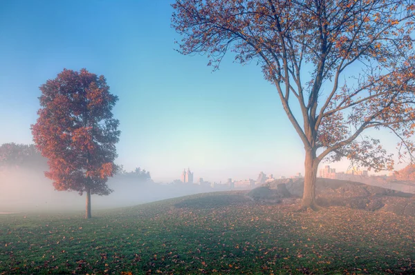 Central Park, New York City in autumn early in the morning with fog