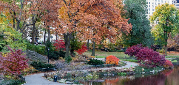 Central Park New York City Herfst Vroeg Ochtend — Stockfoto