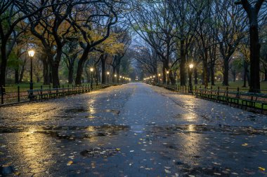 Central Park 'taki alışveriş merkezi, New York.