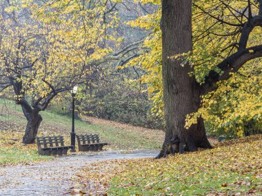 Central Park, Sonbaharda New York