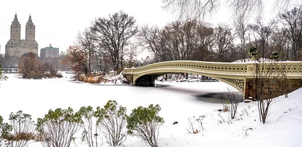 Bow Bridge Central Park New York City Sneeuwstorm — Stockfoto