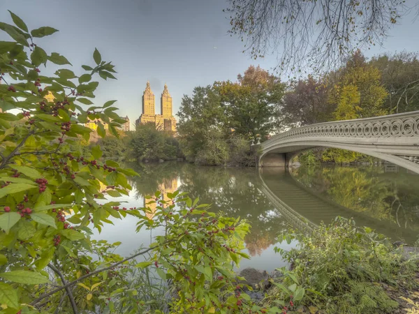 Bow Bridge Central Park New York City Konci Podzimu — Stock fotografie