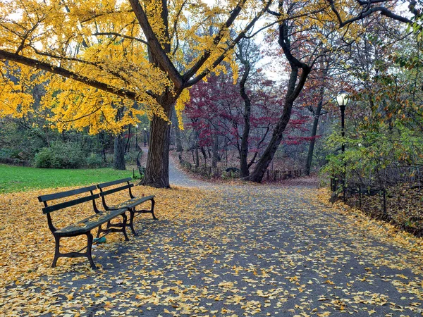 Central Park New York City Herbst — Stockfoto