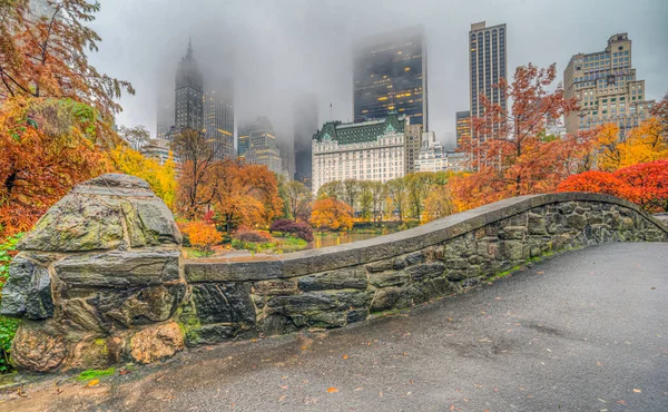 Sonbaharın Sonlarında Central Park Taki Gapstow Köprüsü Nde Sis Yağmur — Stok fotoğraf