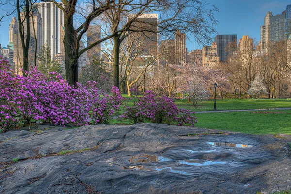 Frühling Central Park New York City — Stockfoto