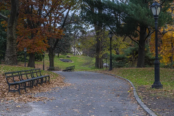 Central Park New York Automnetôt Matin Lever Soleil — Photo
