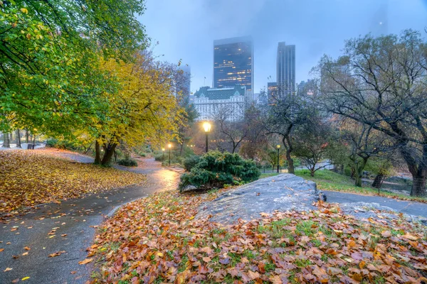 Central Park New York City Het Najaar — Stockfoto