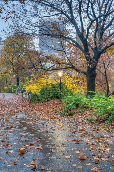 Central Park New York City Herbst — Stockfoto