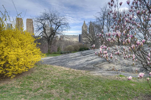 Frühling Central Park New York City — Stockfoto