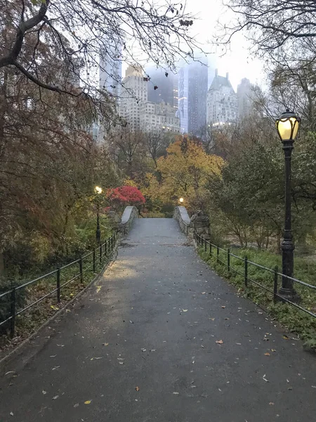 Ponte Gapstow Central Park Nel Tardo Autunno Una Mattina Nebbiosa — Foto Stock
