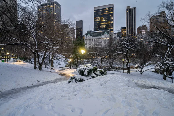 Central Park Winter Sneeuwstorm Met Veel Sneeuw — Stockfoto