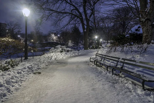 Kışın Central Park 