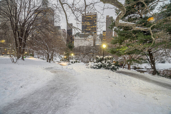 Central Park in winter after snow storm with lots of snow