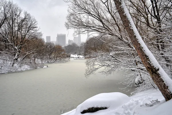 Central Park Winter Sneeuwstorm — Stockfoto