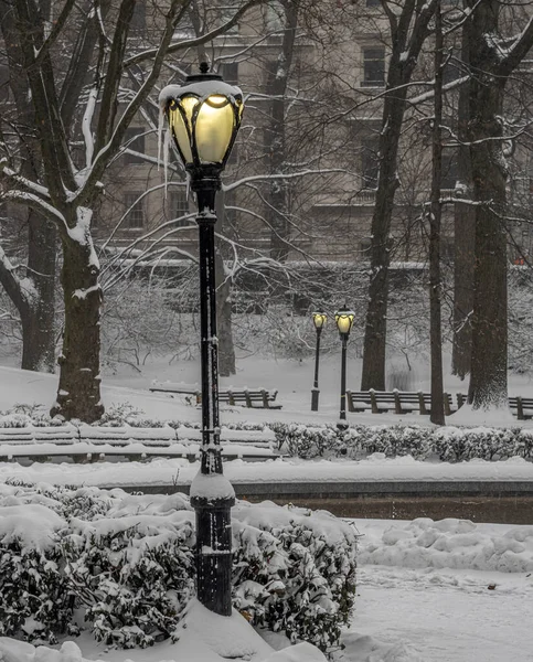 Central Park Inverno — Fotografia de Stock