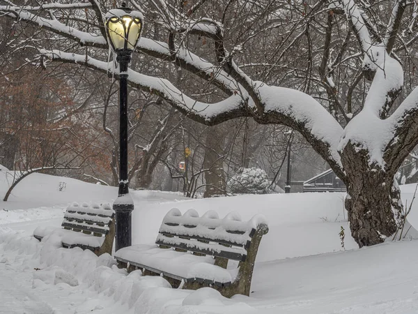 Central Park Inverno — Fotografia de Stock