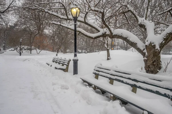 Central Park Inverno — Fotografia de Stock