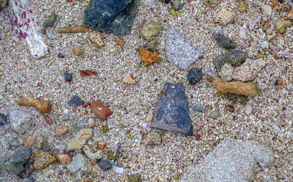 Closeup Sandy Beach Coast Roatan — Stock Photo, Image