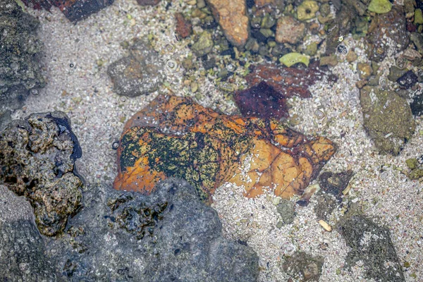 Närbild Sandstrand Utanför Roatans Kust — Stockfoto