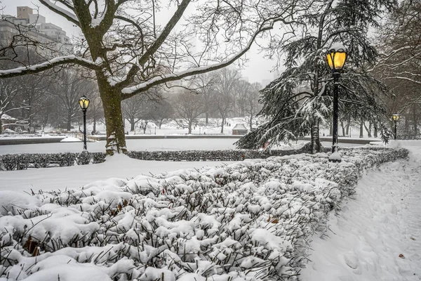 Kışın Central Park — Stok fotoğraf