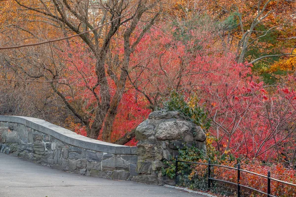 Gapstow Bridge Central Park Spätherbst — Stockfoto