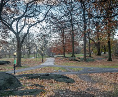 Central Park, Sonbaharda New York