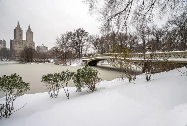 Central Park Vintern — Stockfoto