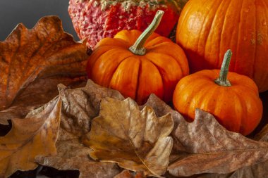 Sonbahar, balkabakları ve yapraklarla siyah arka planda sakin bir hayat sürüyor.