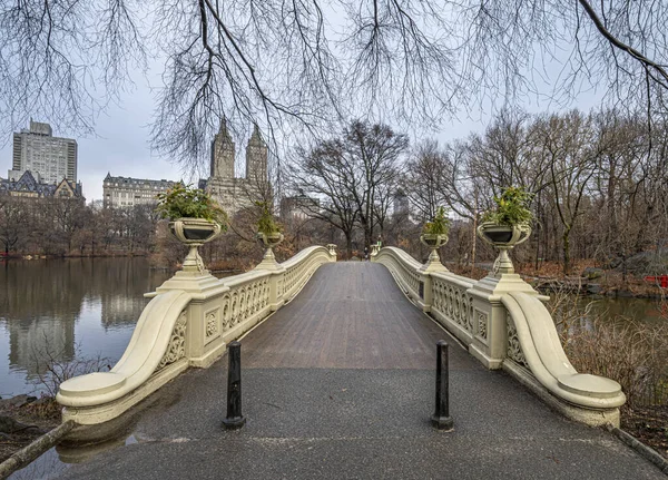 Puente Proa Central Park Nueva York Una Fría Mañana Principios — Foto de Stock