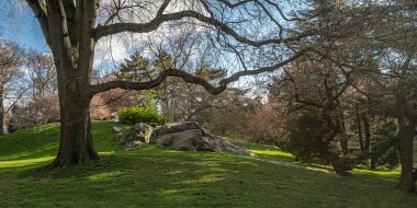 Central Park 'ta bahar, New York