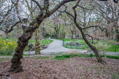 Central Park 'ta bahar, New York