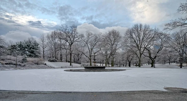 Kışın Kar Fırtınasından Sonra Central Park — Stok fotoğraf